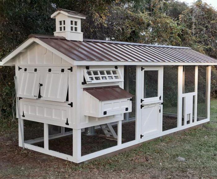 Compare Chicken Coops | Carolina Coops