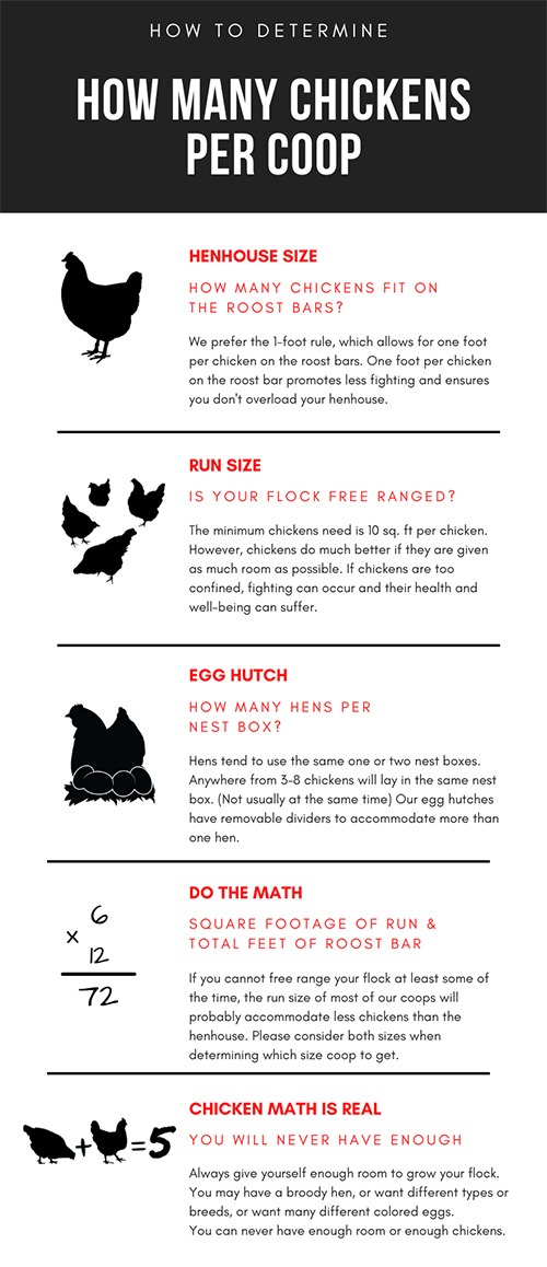 Carolina Coops infographic - How many chickens will fit in my coop