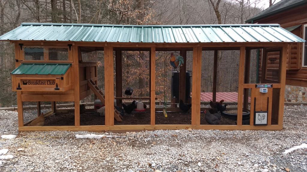 6×18 American Coop stained with green roof and automatic chicken run door