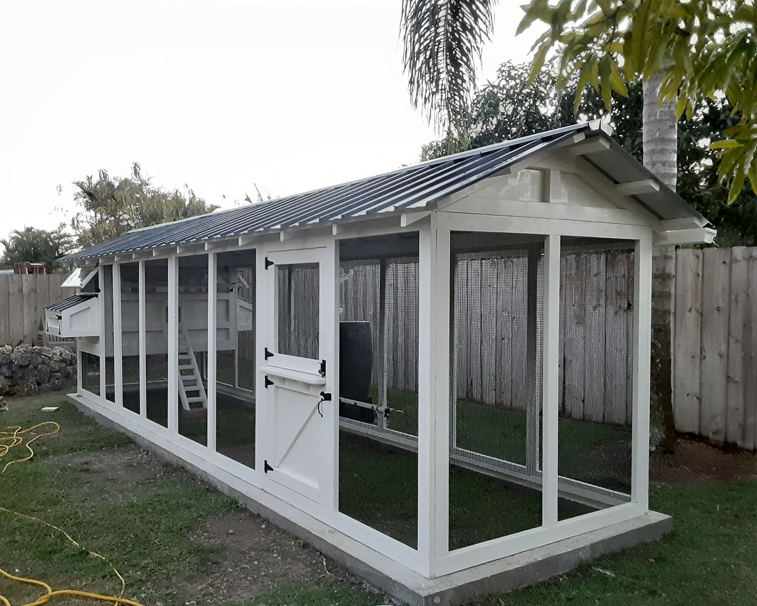 6×24 American Coop in Miami, Florida with Dutch door built on concrete base