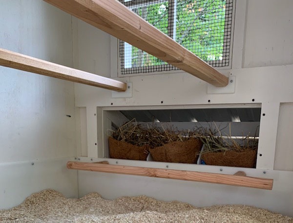 Henhouse interior with nest boxes in Craftsman Coop