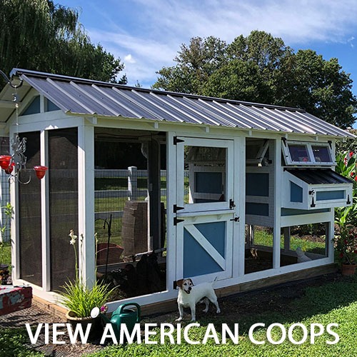 Carolina Coops - AMERICAN Coops Gallery