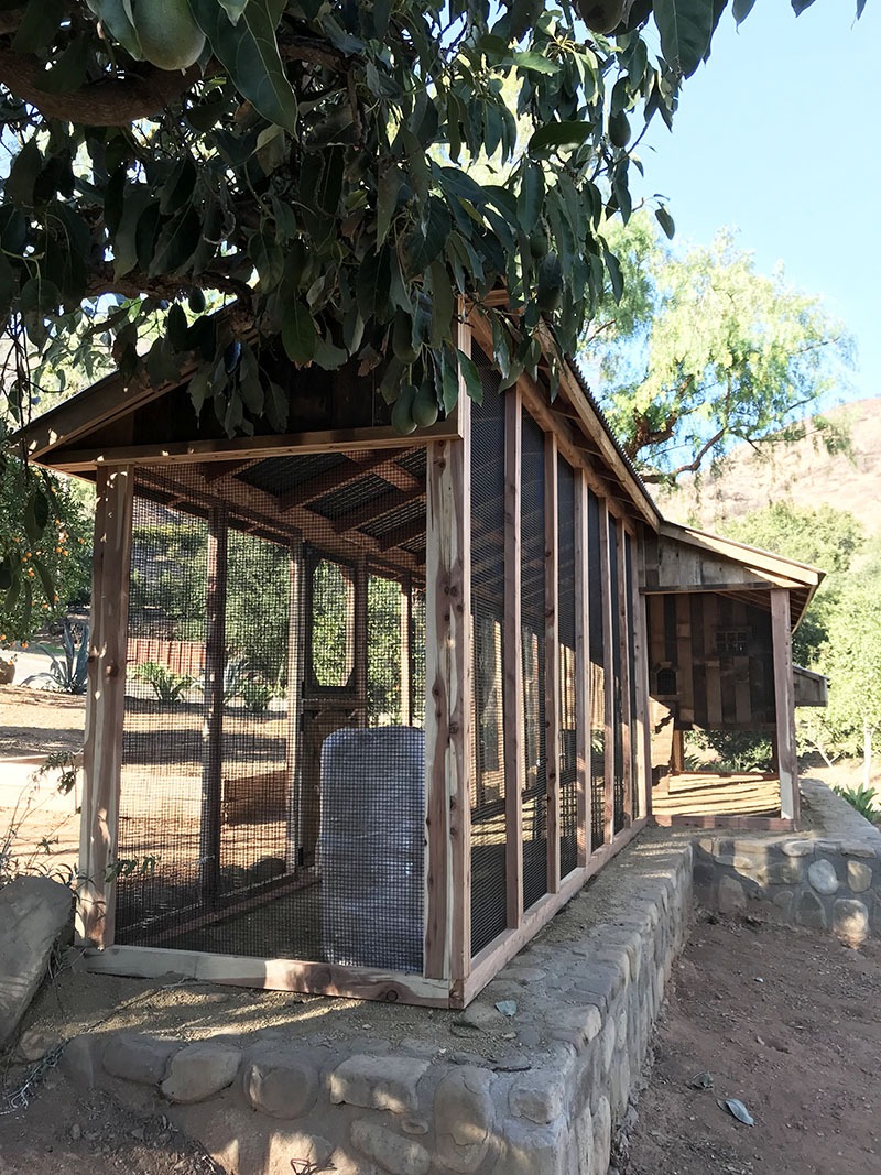 Custom reclaimed barnwood chicken coop with salt box roof in Ojai, California