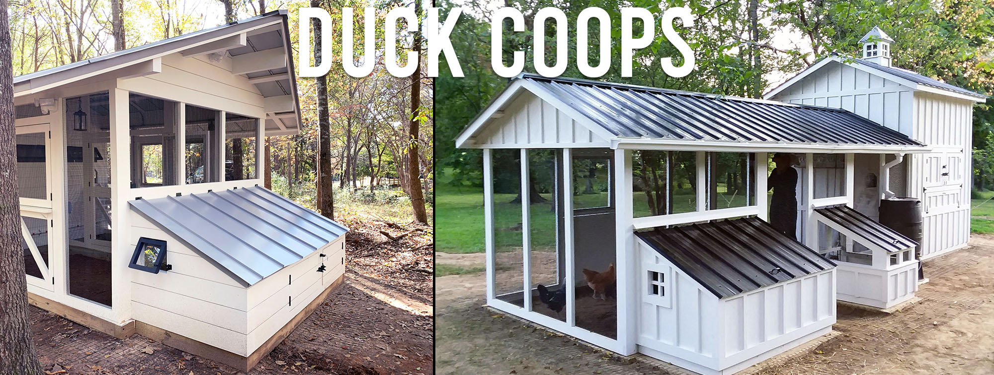 Duck Coops by Carolina Coops web banner