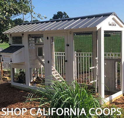SHOP CALIFORNIA COOPS