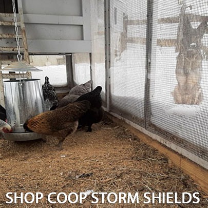 SHOP coop storm shields