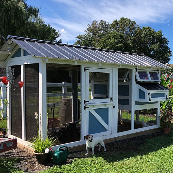 6x12 American Coop in Pa