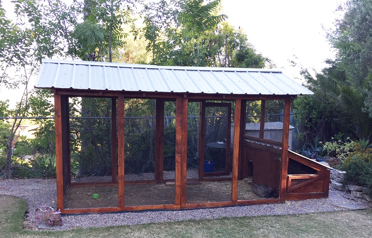6×12 American Duck Coop with duck house in California