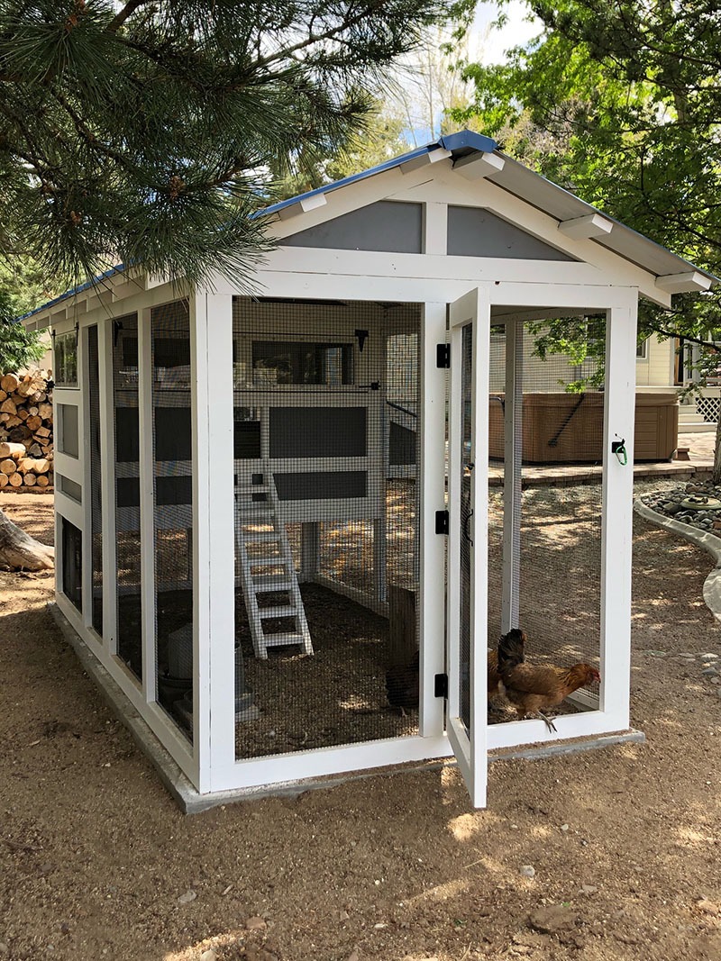 front of a 6×12 American Coop in Reno, NV