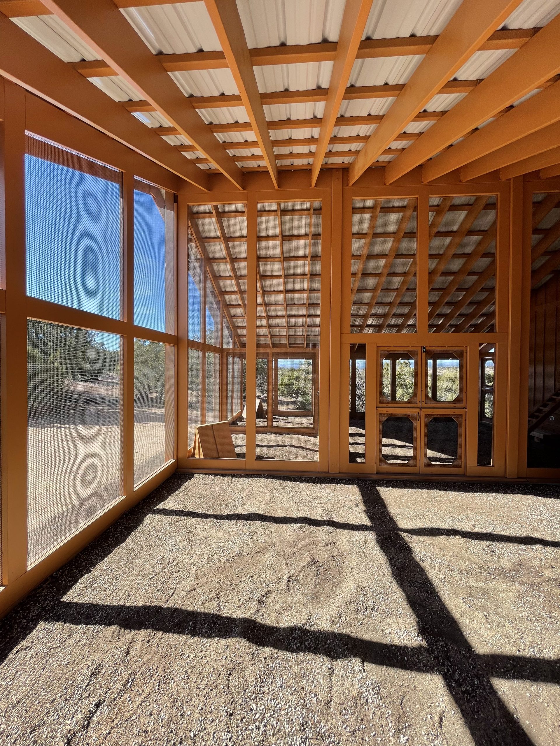 Inside one half of a divided run of a custom chicken coop built on site in NM