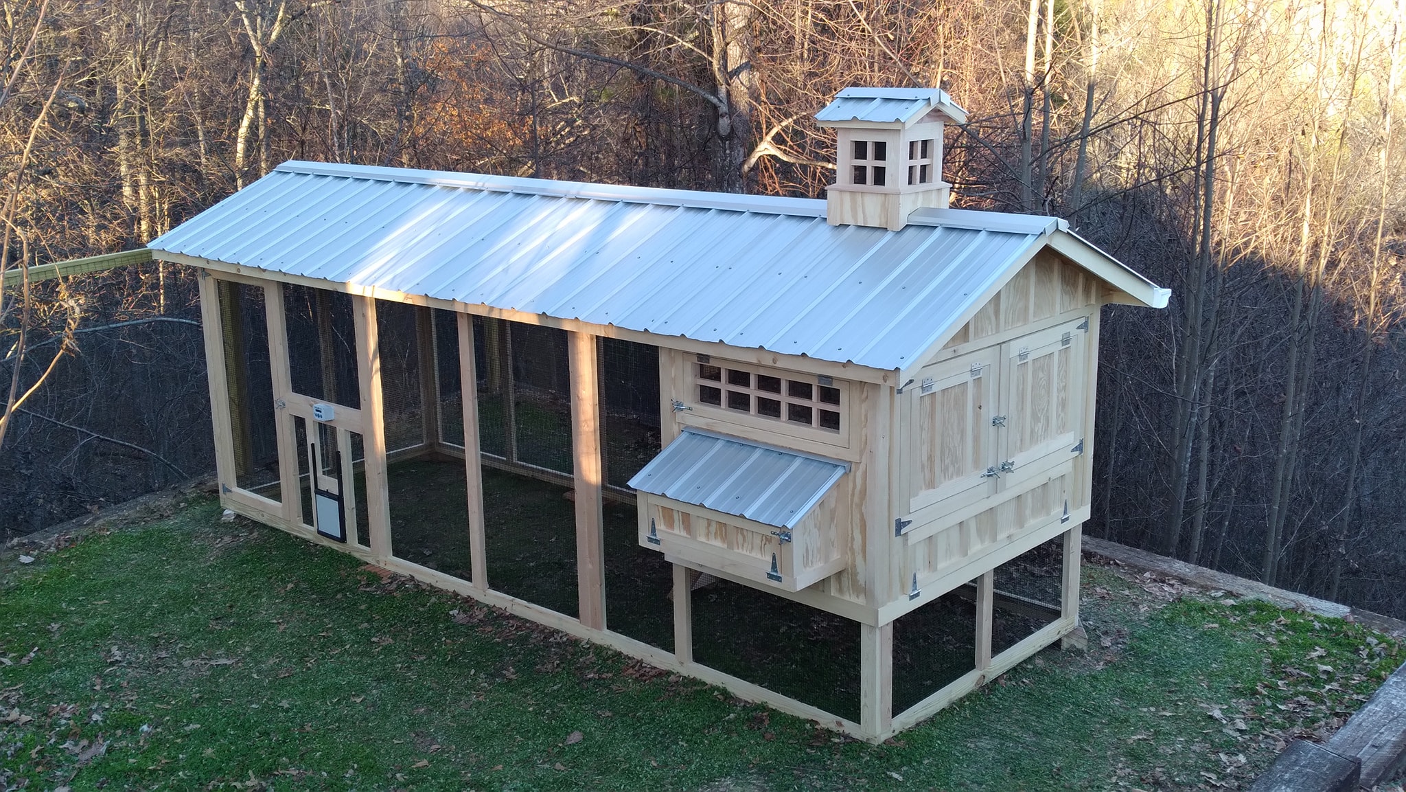 6x18 Carolina Coop with cupola and automatic chicken run door