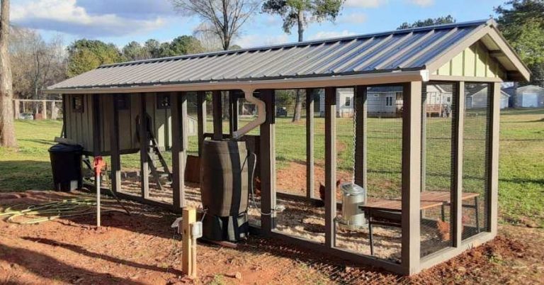 Carolina Coop | Custom Chicken Coop by Carolina Coops