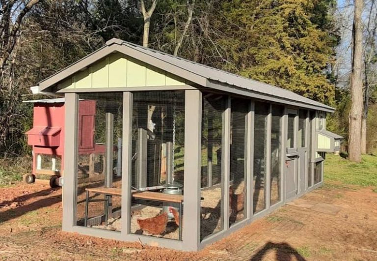 Carolina Coop | Custom Chicken Coop by Carolina Coops