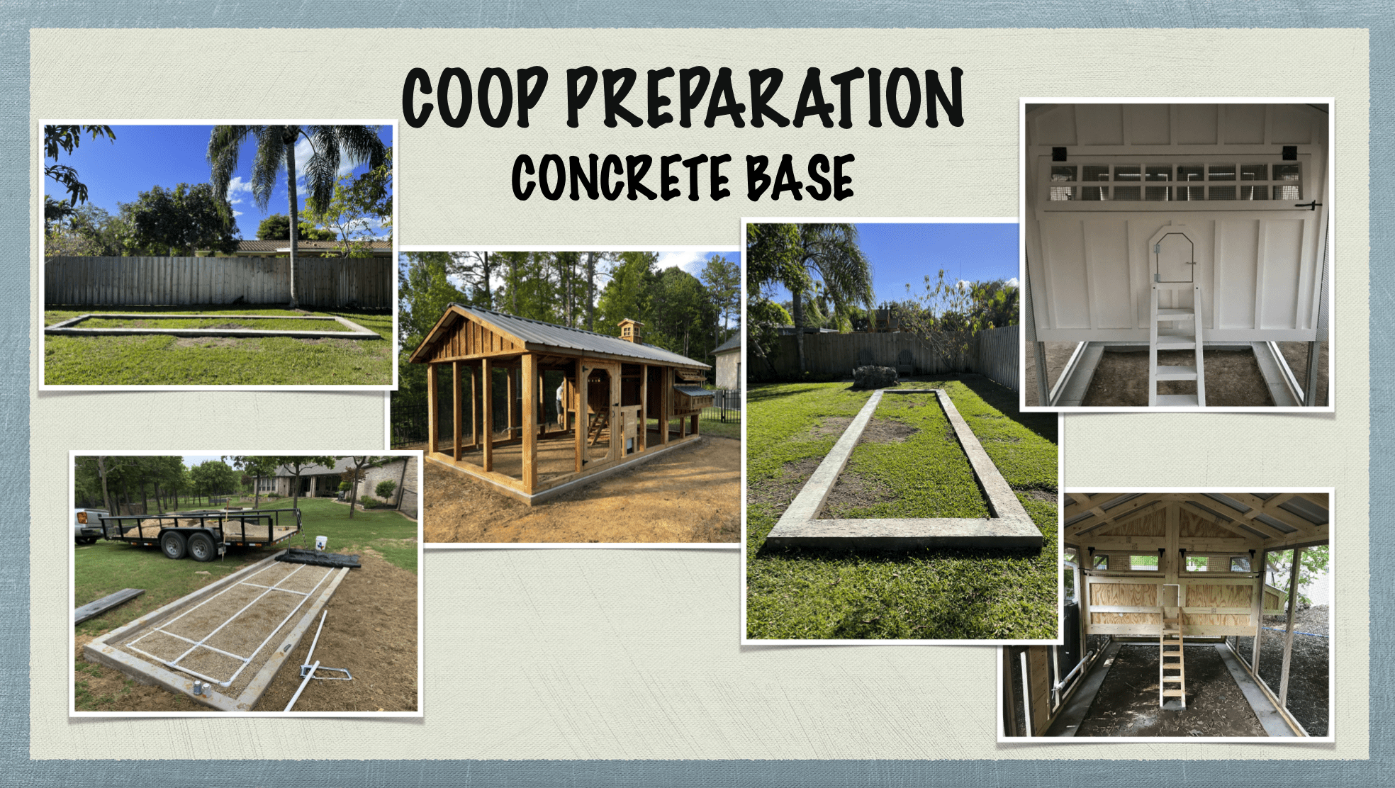 Carolina Coops - coop placement and site placement - concrete base