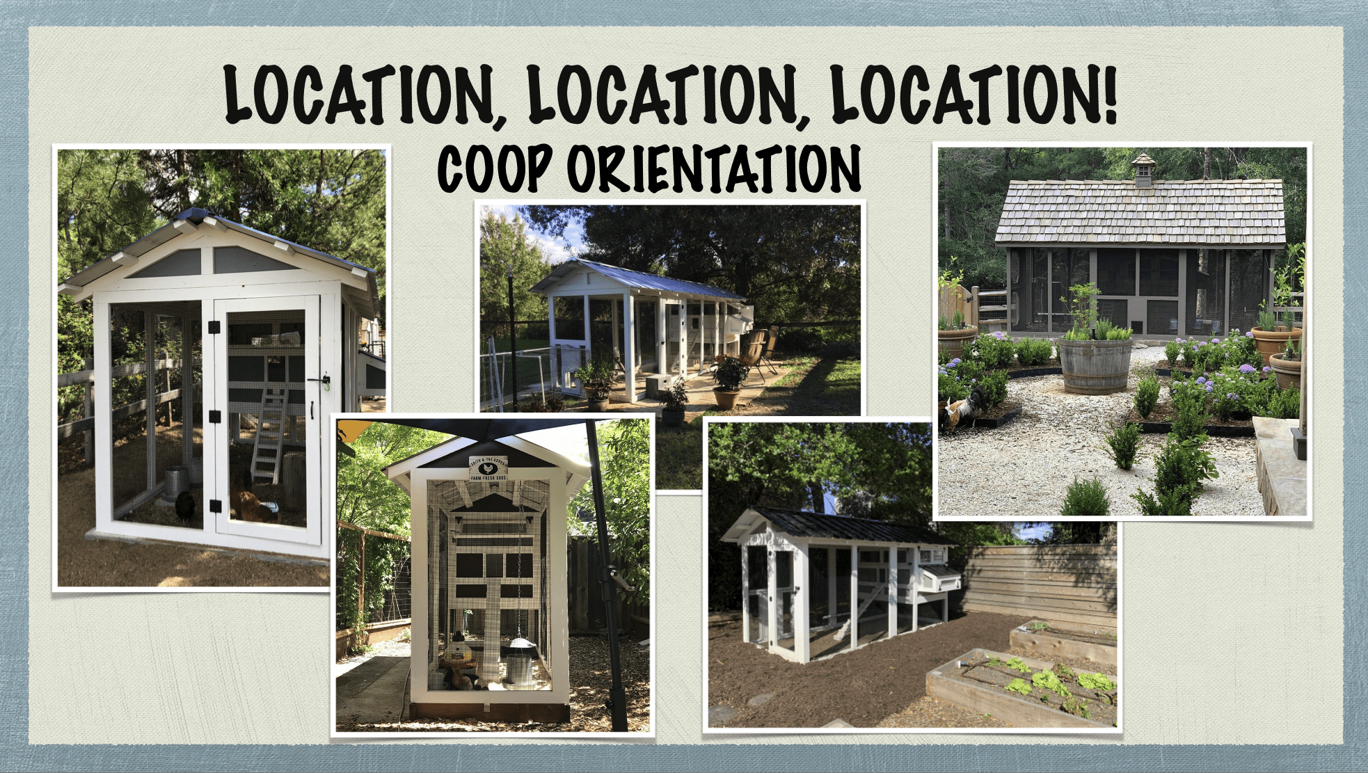 Carolina Coops - coop placement and site placement - coop orientation