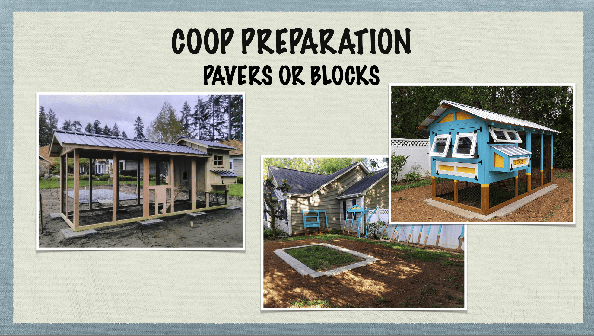 Carolina Coops - coop placement and site placement - pavers or bricks