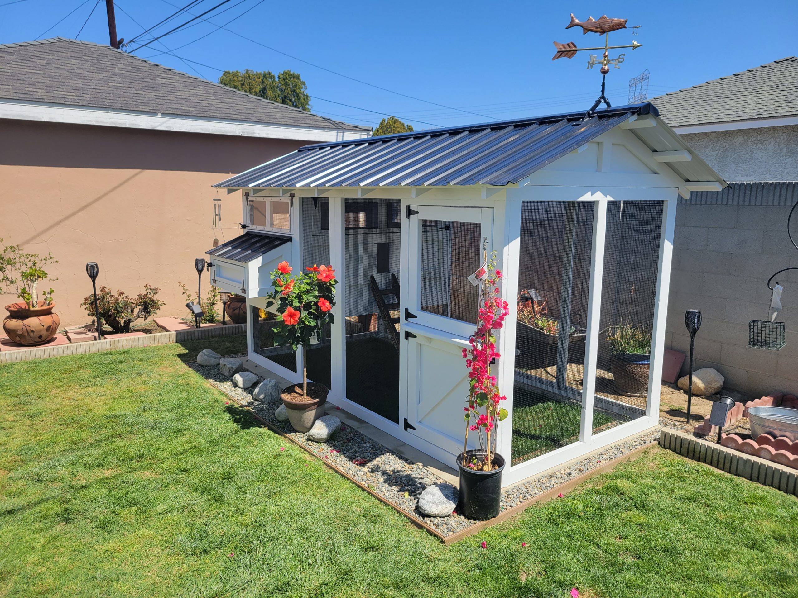 6’x12′ American Coop in California assembled and painted by customer (11)