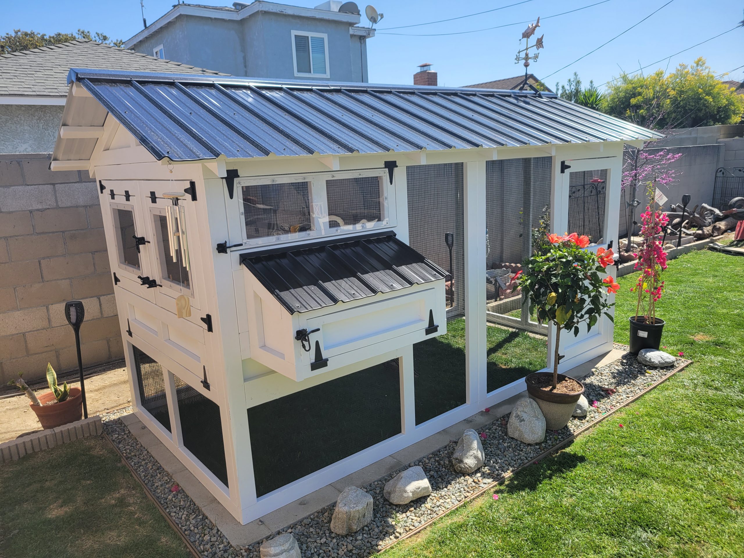 6’x12′ American Coop in California assembled and painted by customer (12)