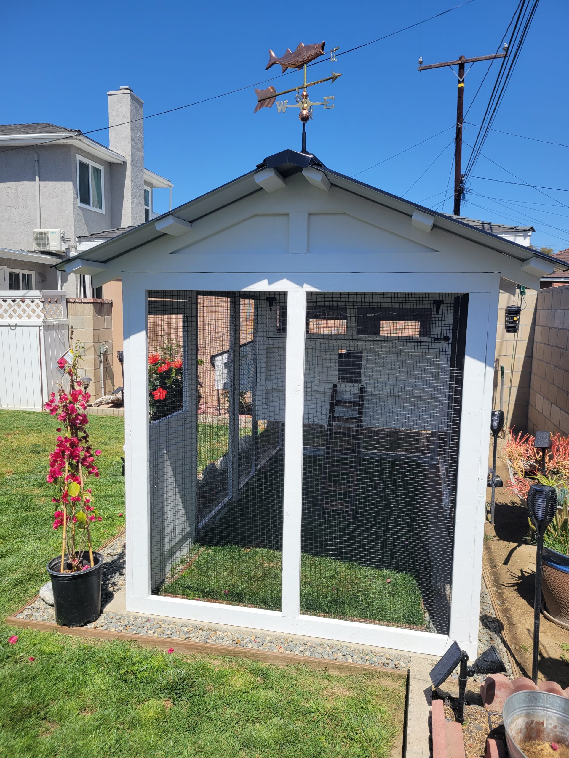 6’x12′ American Coop in California assembled and painted by customer (13)
