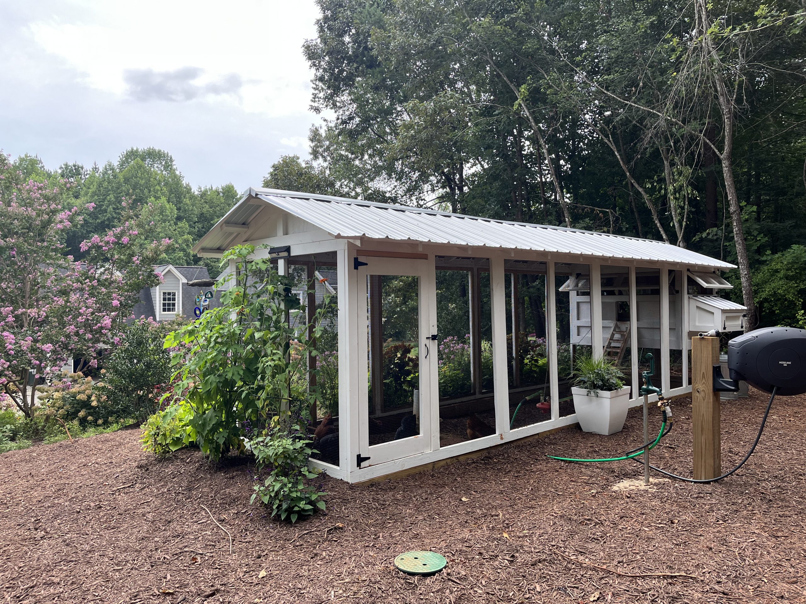 6×24 American Coop that is landscaped and painted white in Dallas, NC