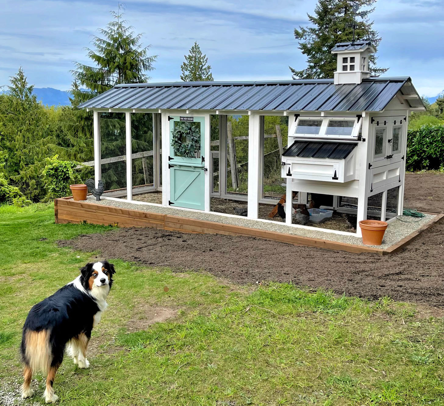 6x18 American Coop with Dutch door and cupola in Stanwood, WA
