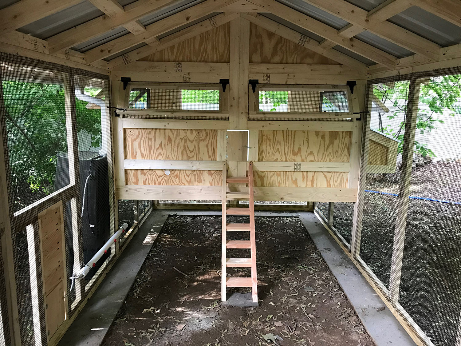inside the run of an 8×18 American Coop with a poultry water system and free range door