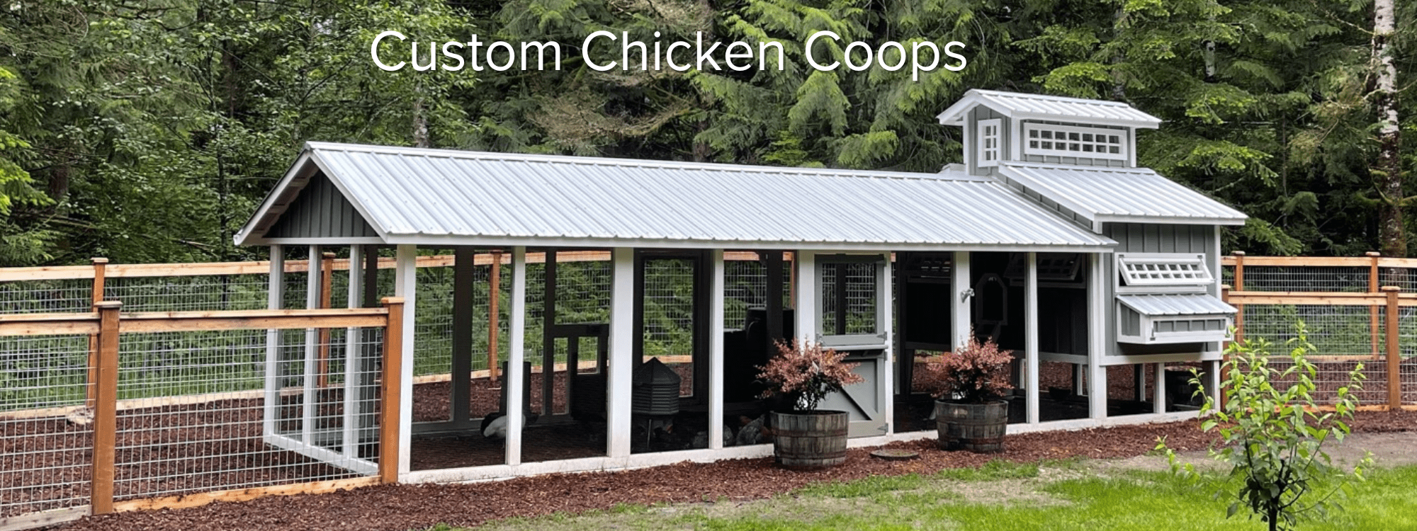 Custom chicken coops header