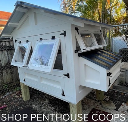 Chicken Coops | Carolina Coops