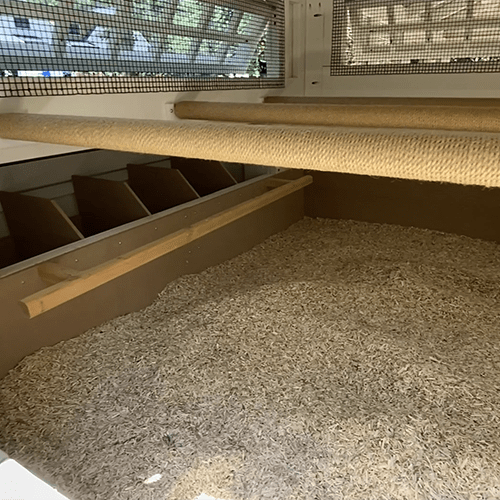 Carolina Coops signature deep litter beds in the henhouse