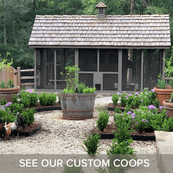 SEE OUR CUSTOM COOPS