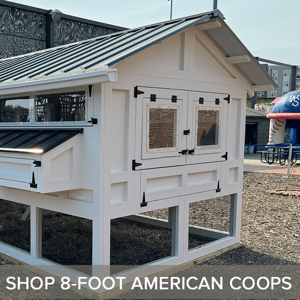 SHOP 8-FOOT AMERICAN