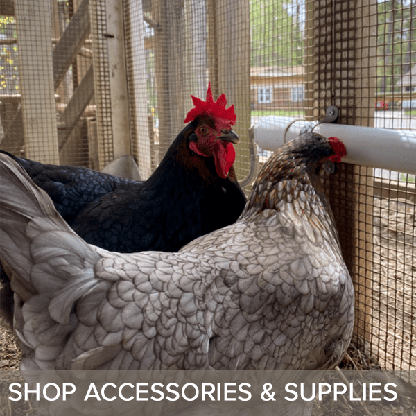 SHOP ACCESSORIES