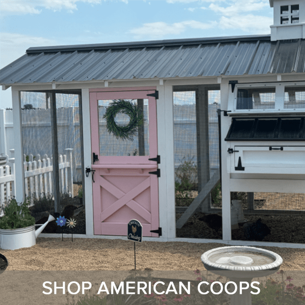 SHOP AMERICAN COOPS