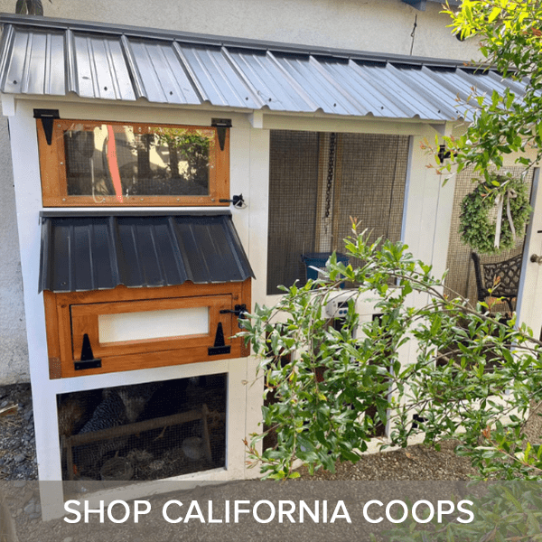 SHOP CALIFORNIA COOPS