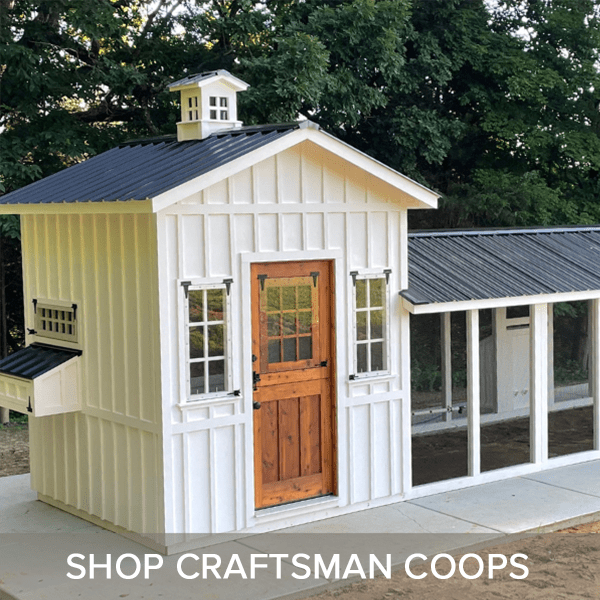 SHOP CRAFTSMAN COOPS